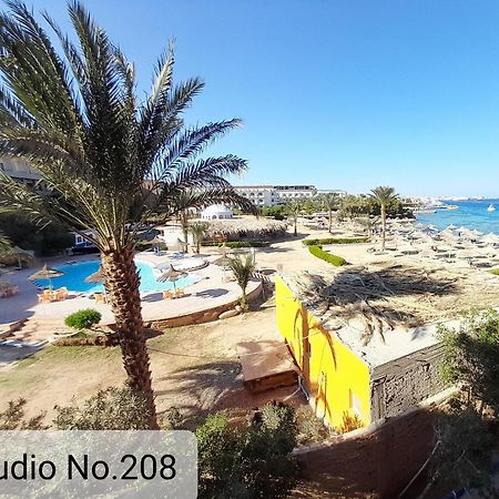 Alia Beach Residence Hurghada Phòng bức ảnh
